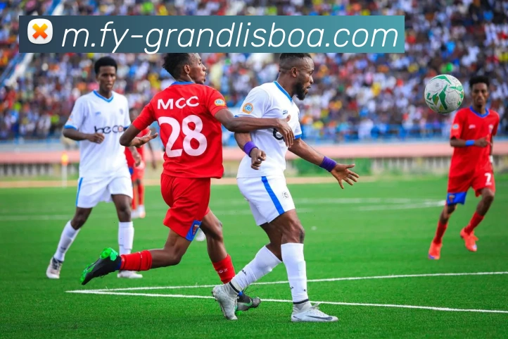 新葡京娱乐平台生态图